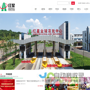 红星大市场