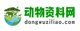 动物资料网 | 动物养殖技术大全,宠物饲养,动物图片分类科普!